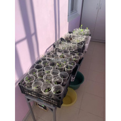 Подставка для рассады